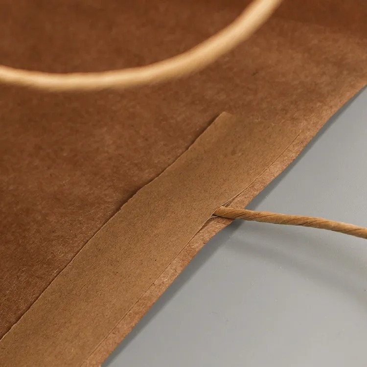 Printed Recyclable Kraft Paper Bags Colored Shopping Bag Packaging with Logo